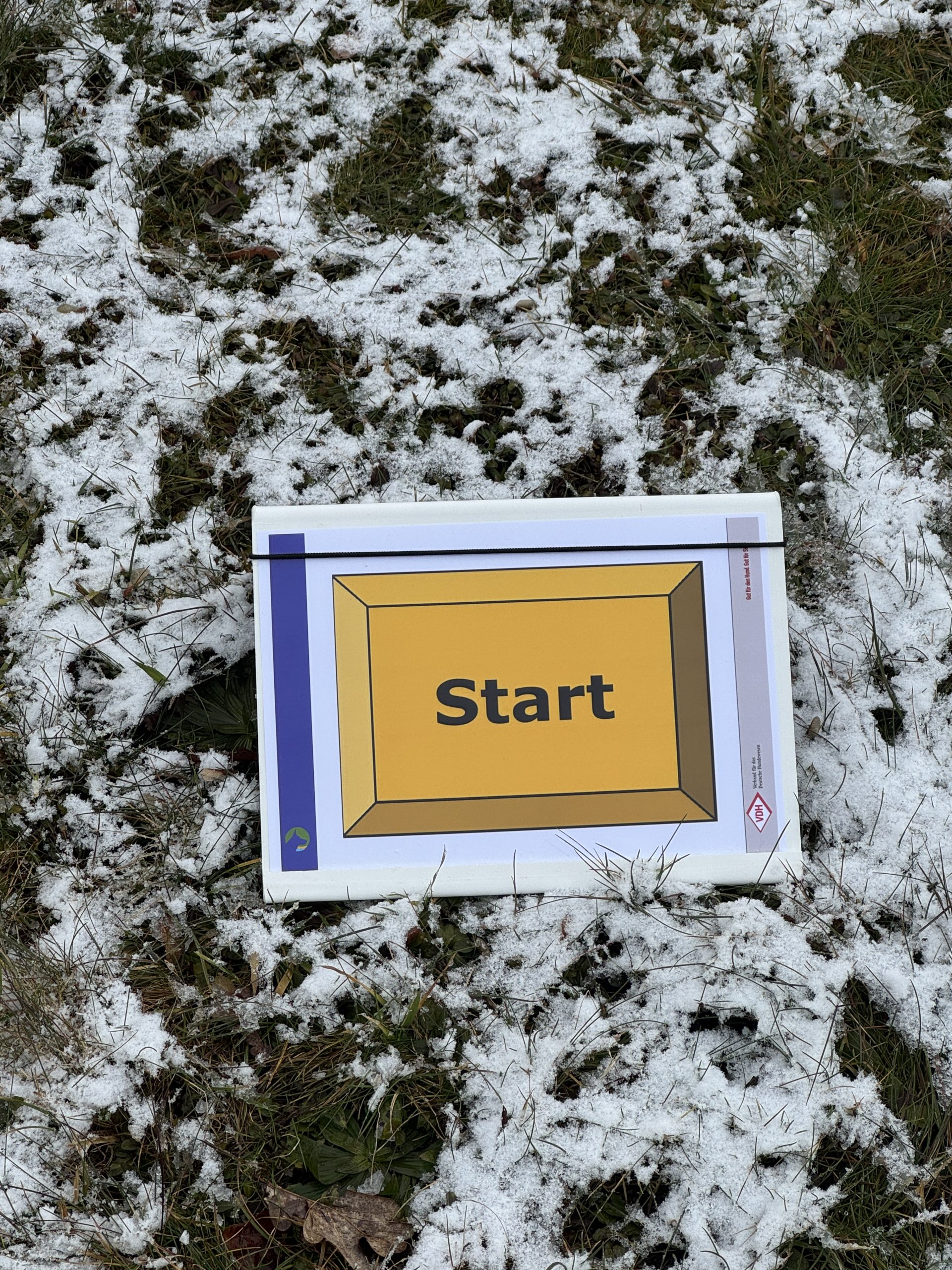 Heute haben wir beim Obedience richtig Gas gegeben und fleißig trainiert.